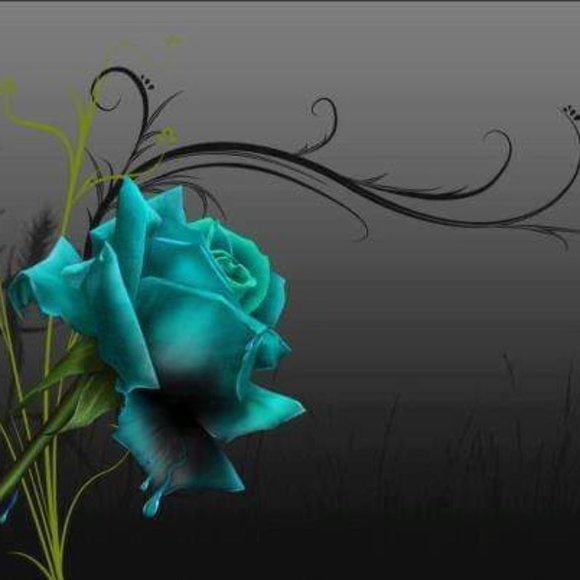 Meet your Posher, Caz - Picture 1 of 1